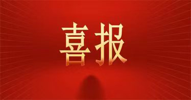 学院工程系入选2025年全区高校党建“双创”标杆院系