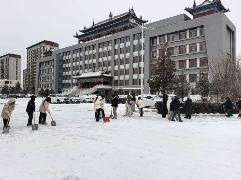 暖阳融雪，青春聚力