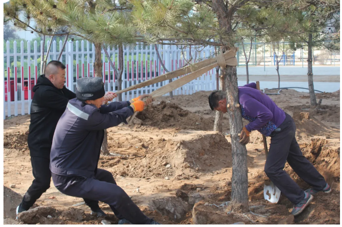 内师大鸿德学院在校教职工近一月植树约600棵