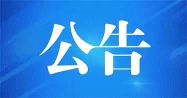 党政机关公文格式