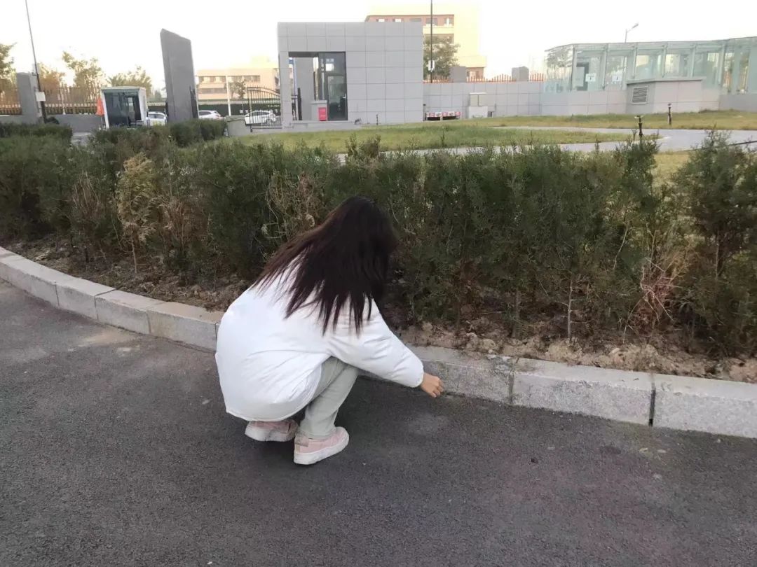 微信图片_20250515201040.jpg
