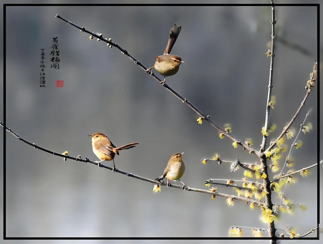 微信图片_20250515205949.jpg
