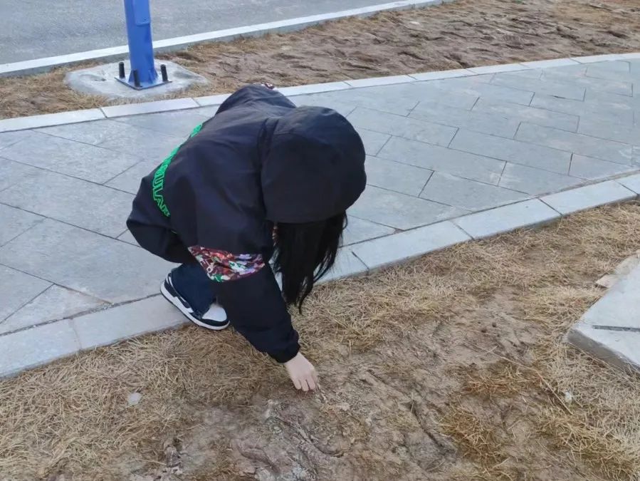 微信图片_20250515211007.jpg