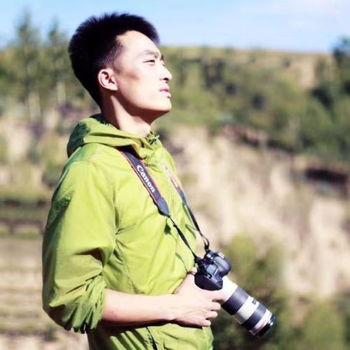 白桦.jpg 白桦.jpg