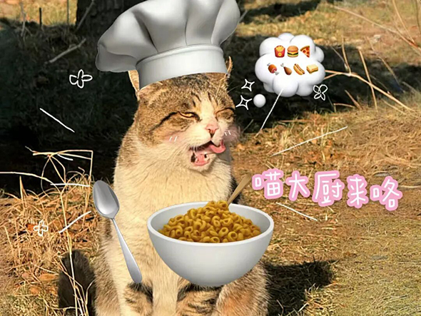 内容图13.jpg 内容图13.jpg