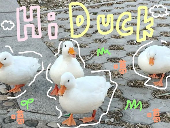 内容图17.jpg 内容图17.jpg